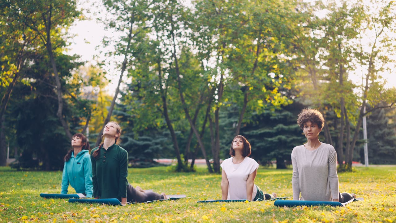 Four women practicing yoga poses on mats in a sunlit park, surrounded by trees.