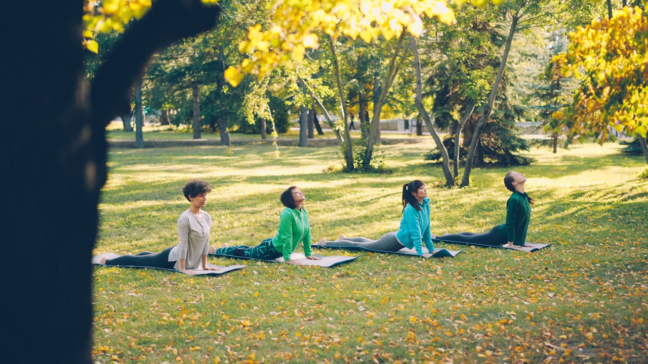 Group of adults practicing yoga in a scenic fall park setting.