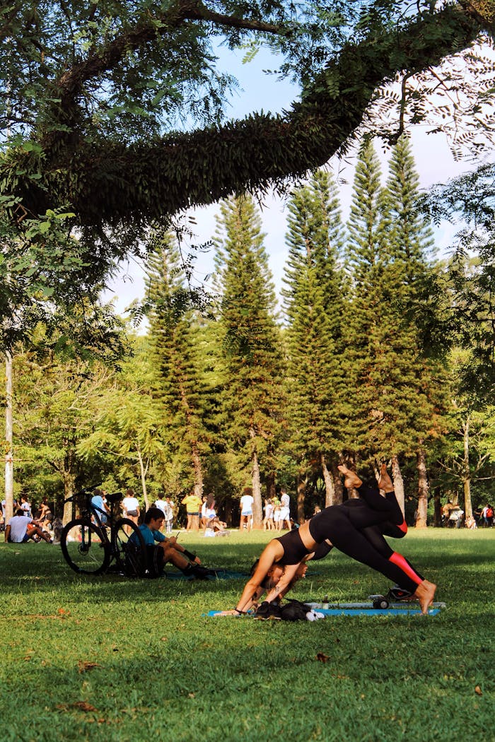 A woman performs yoga in a sunny park surrounded by lush trees and people enjoying leisure time.